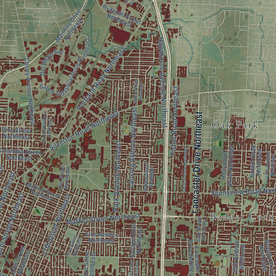 Second close-up of the map of Salem, Oregon print showing more streets and buildings