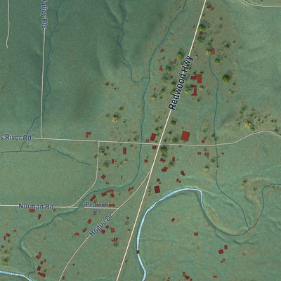 Close-up of the map of Selma, Oregon print showing street and building detail