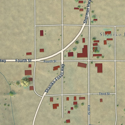 Close-up of the map of Shaniko, Oregon print showing street and building detail
