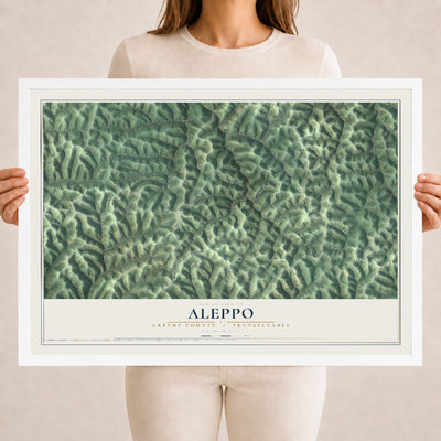 Map of Aleppo, Greene County, Pennsylvania, 18 x 24 inch print in a white wood frame