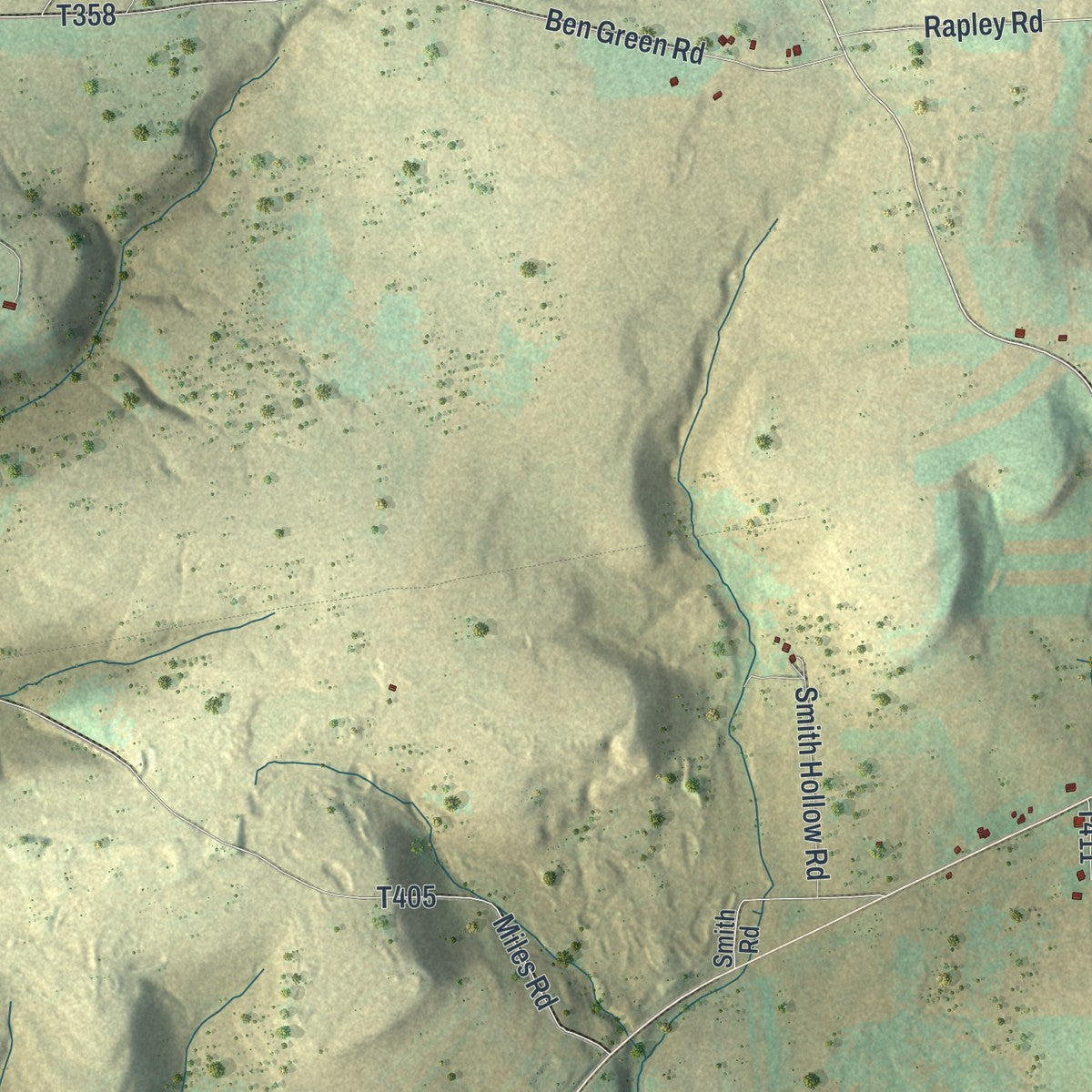 Close-up of the map of Allegany, Pennsylvania print showing street and building detail