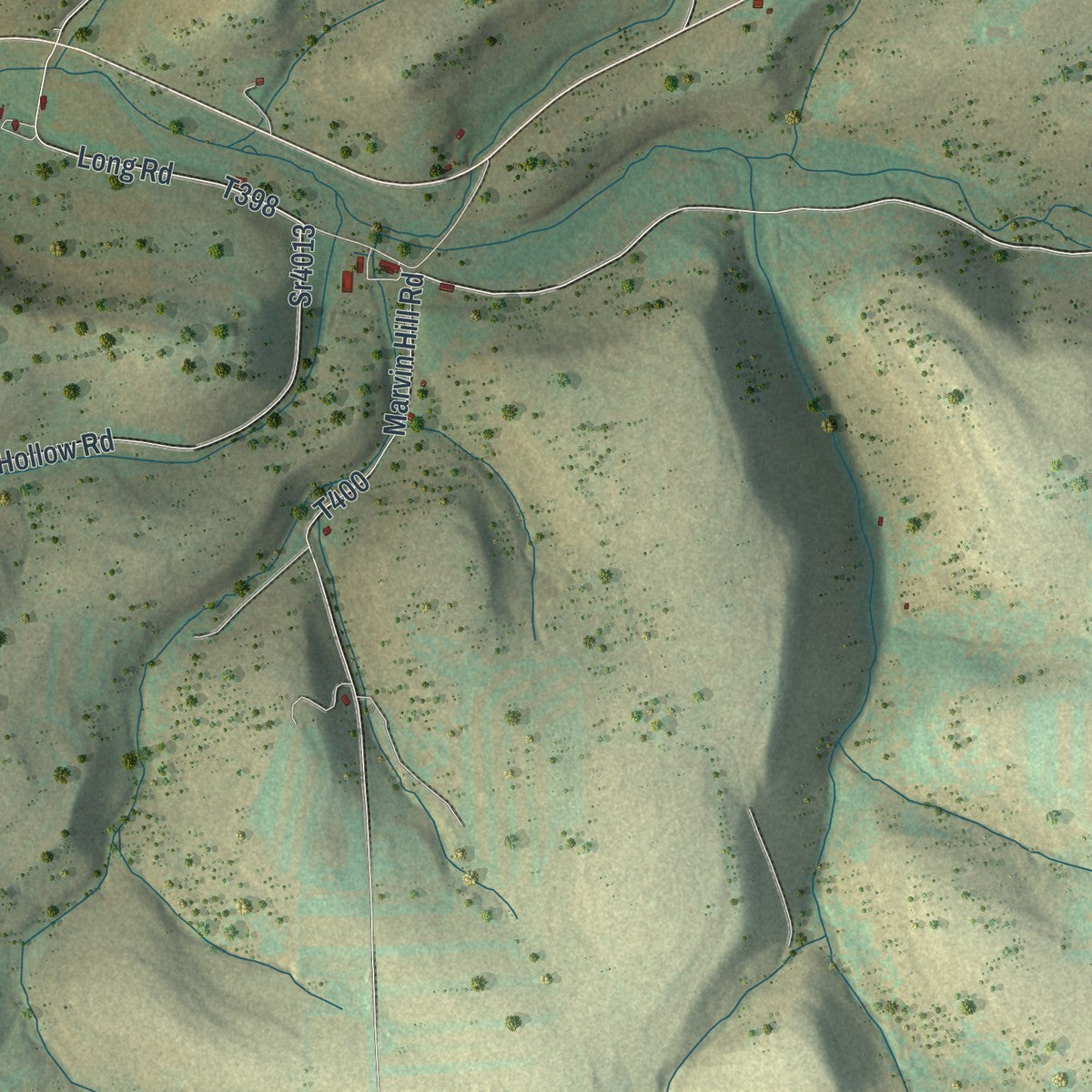 Second close-up of the map of Allegany, Pennsylvania print showing more streets and buildings