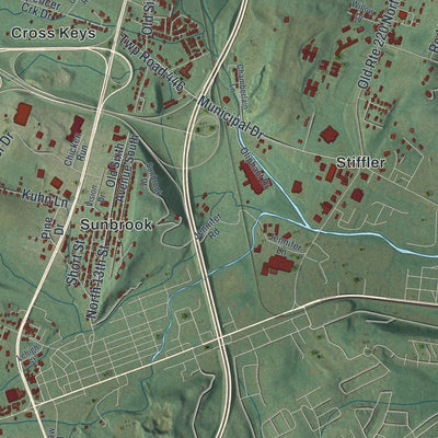 Close-up of the map of Allegheny, Blair County, Pennsylvania print showing street and building detail