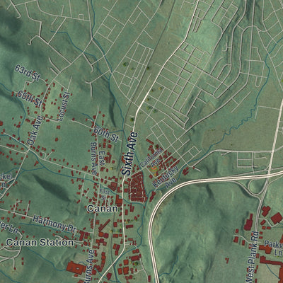Second close-up of the map of Allegheny, Blair County, Pennsylvania print showing more streets and buildings