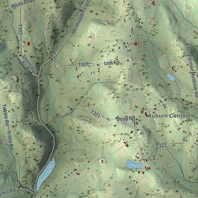 Second close-up of the map of Auburn, Susquehanna County, Pennsylvania print showing more streets and buildings