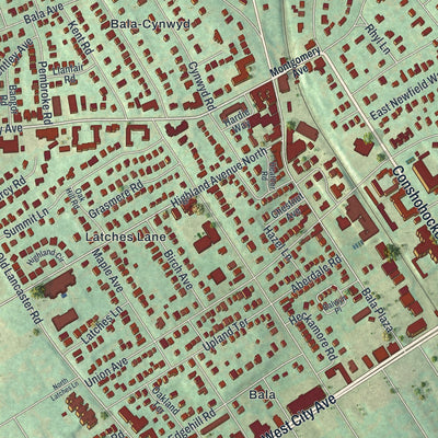 Close-up of the map of Bala Cynwyd, Pennsylvania print showing street and building detail