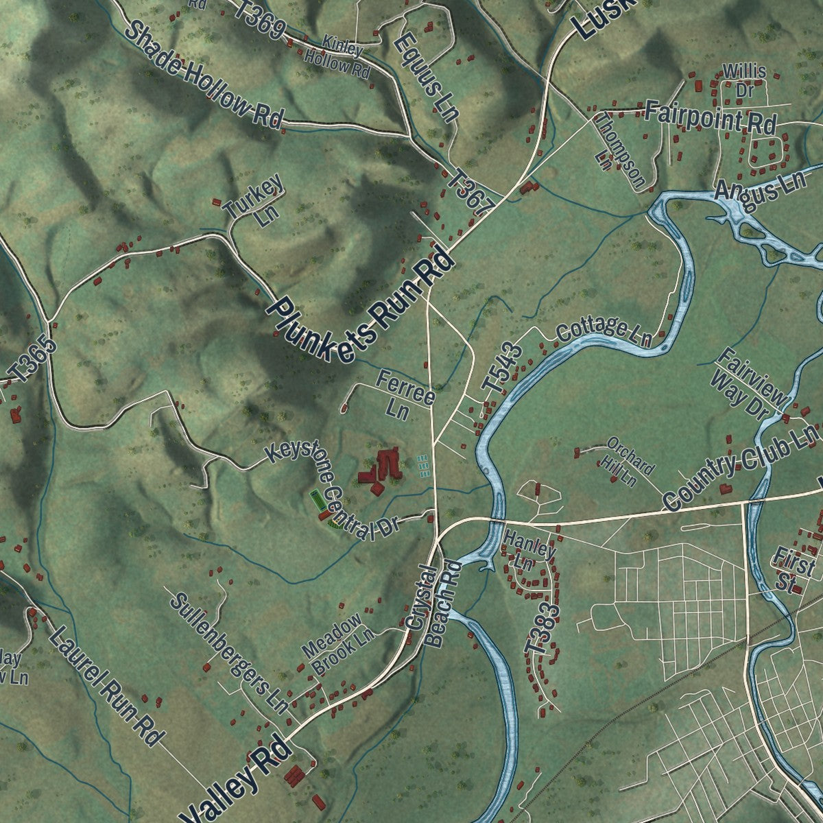 Second close-up of the map of Bald Eagle, Pennsylvania print showing more streets and buildings
