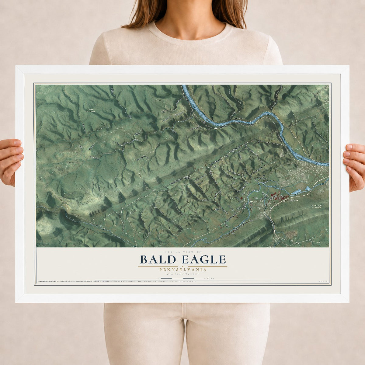 Map of Bald Eagle, Pennsylvania, 18 x 24 inch print in a white wood frame