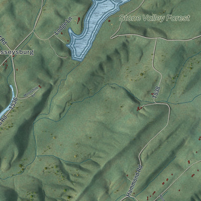Close-up of the map of Barree, Pennsylvania print showing street and building detail