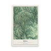 Map of Bell, Jefferson County, Pennsylvania, 12 x 18 inch unframed archival matte print