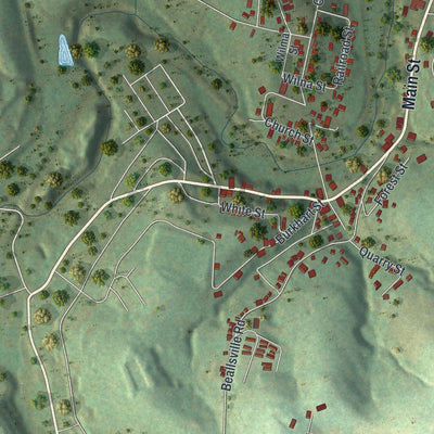 Second close-up of the map of Bentleyville, Pennsylvania print showing more streets and buildings