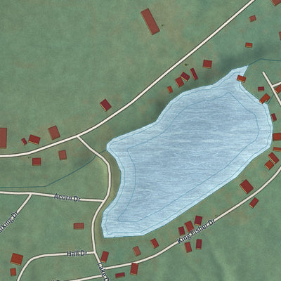 Close-up of the map of Beurys Lake, Pennsylvania print showing street and building detail