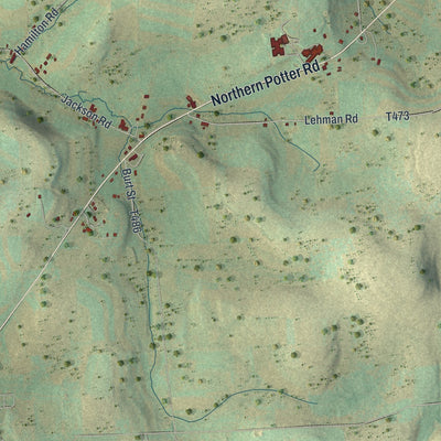 Second close-up of the map of Bingham, Pennsylvania print showing more streets and buildings