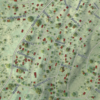 Close-up of the map of Birchwood Lakes, Pennsylvania print showing street and building detail
