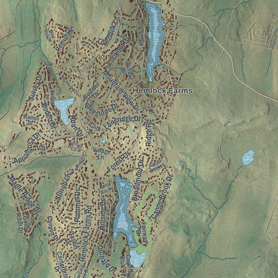 Close-up of the map of Blooming Grove, Pennsylvania print showing street and building detail