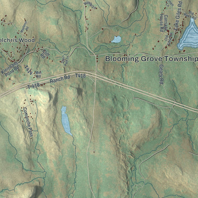 Second close-up of the map of Blooming Grove, Pennsylvania print showing more streets and buildings
