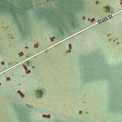 Second close-up of the map of Blooming Valley, Pennsylvania print showing more streets and buildings