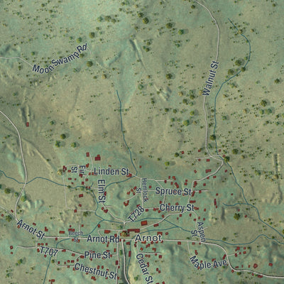Close-up of the map of Bloss, Pennsylvania print showing street and building detail