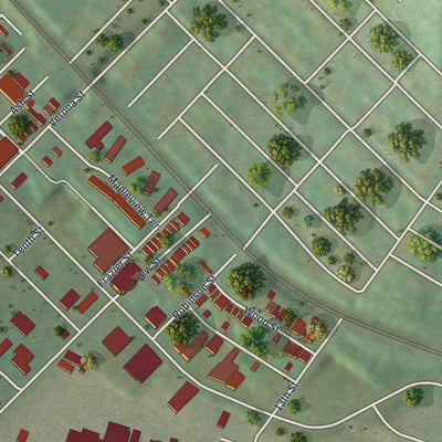 Second close-up of the map of Braddock, Pennsylvania print showing more streets and buildings
