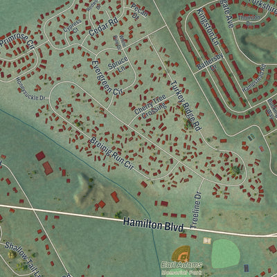 Close-up of the map of Breinigsville, Pennsylvania print showing street and building detail