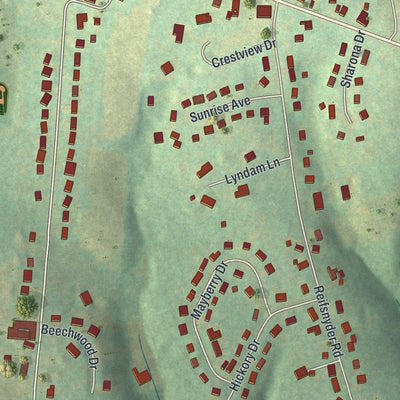 Close-up of the map of Brickerville, Pennsylvania print showing street and building detail