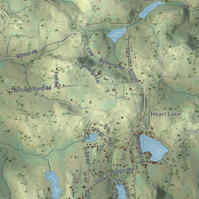 Second close-up of the map of Bridgewater, Susquehanna County, Pennsylvania print showing more streets and buildings