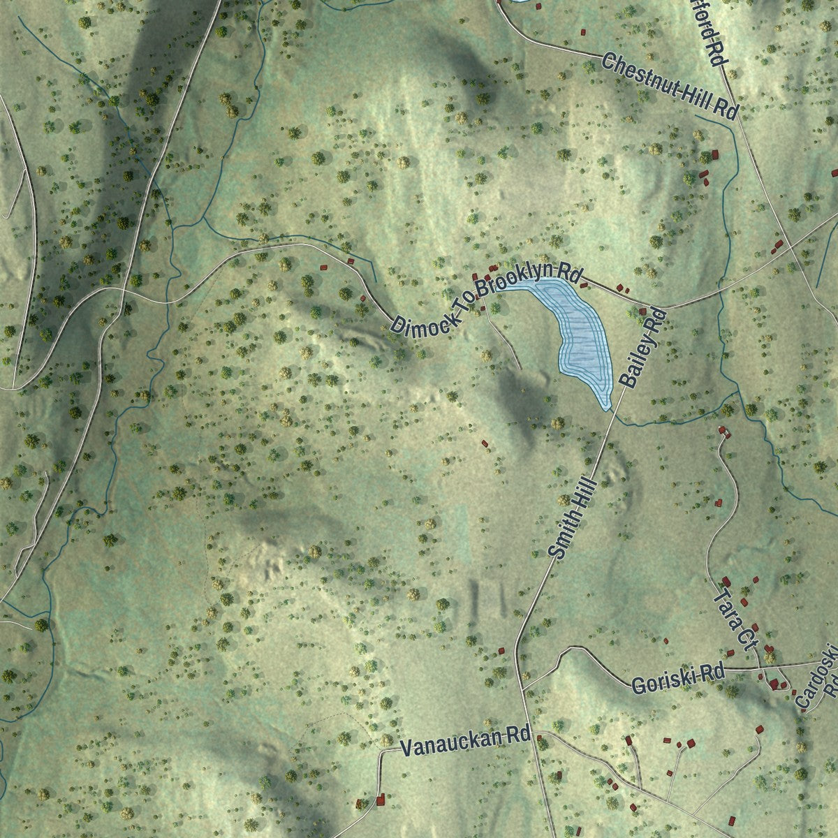Second close-up of the map of Brooklyn, Pennsylvania print showing more streets and buildings