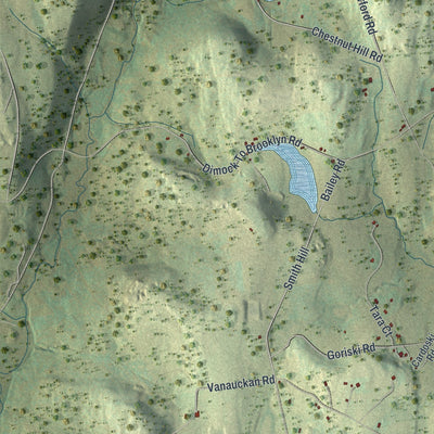 Second close-up of the map of Brooklyn, Pennsylvania print showing more streets and buildings