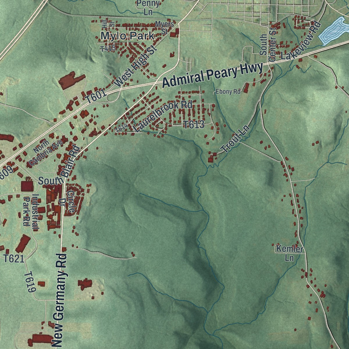 Close-up of the map of Cambria, Pennsylvania print showing street and building detail