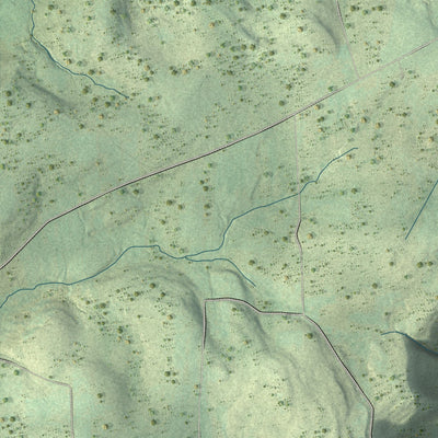 Close-up of the map of Canton, Bradford County, Pennsylvania print showing street and building detail