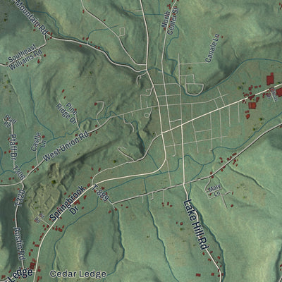 Second close-up of the map of Canton, Bradford County, Pennsylvania print showing more streets and buildings