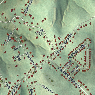 Close-up of the map of Cecil-Bishop, Pennsylvania print showing street and building detail