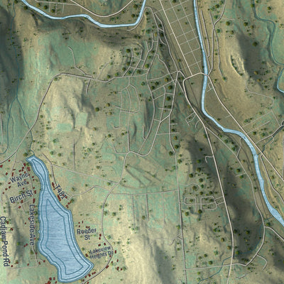 Close-up of the map of Cherry Ridge, Pennsylvania print showing street and building detail