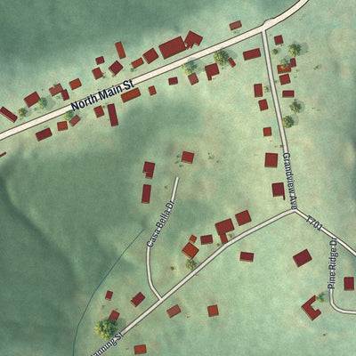 Second close-up of the map of Chicora, Pennsylvania print showing more streets and buildings