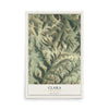 Map of Clara, Pennsylvania, 12 x 18 inch unframed archival matte print