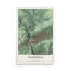 Map of Coatesville, Pennsylvania, 12 x 18 inch unframed archival matte print
