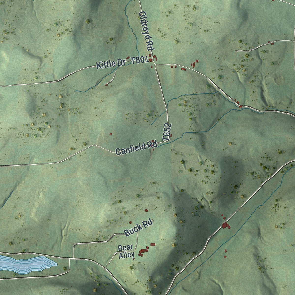 Second close-up of the map of Columbia, Bradford County, Pennsylvania print showing more streets and buildings