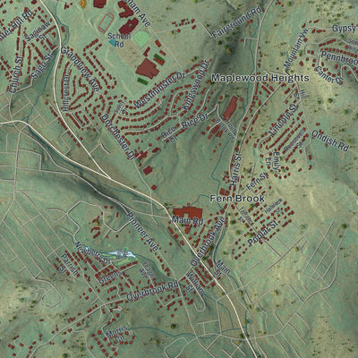 Close-up of the map of Dallas, Luzerne County, Pennsylvania print showing street and building detail