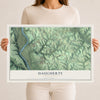 Map of Daugherty, Pennsylvania, 12 x 18 inch unframed archival matte print
