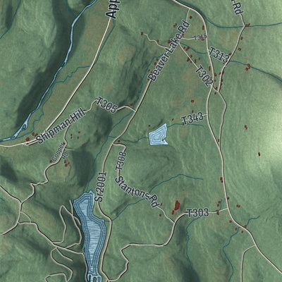 Close-up of the map of Davidson, Pennsylvania print showing street and building detail