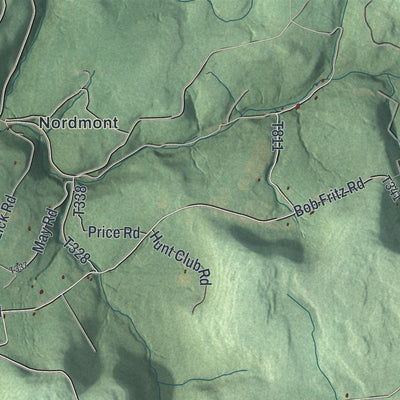 Second close-up of the map of Davidson, Pennsylvania print showing more streets and buildings
