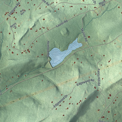 Second close-up of the map of Earl, Berks County, Pennsylvania print showing more streets and buildings