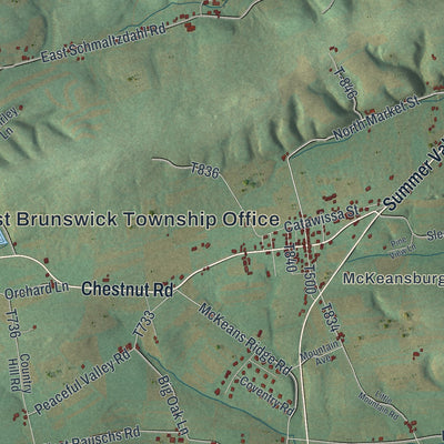Close-up of the map of East Brunswick, Pennsylvania print showing street and building detail