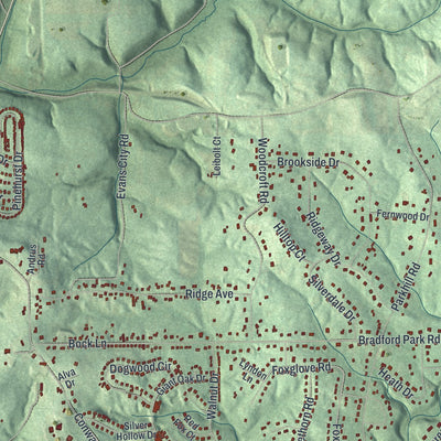 Close-up of the map of Economy, Pennsylvania print showing street and building detail