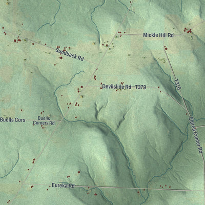 Second close-up of the map of Eldred, Warren County, Pennsylvania print showing more streets and buildings