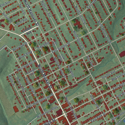 Close-up of the map of Elizabethtown, Pennsylvania print showing street and building detail
