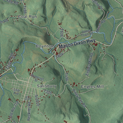 Close-up of the map of Elk Lick, Pennsylvania print showing street and building detail