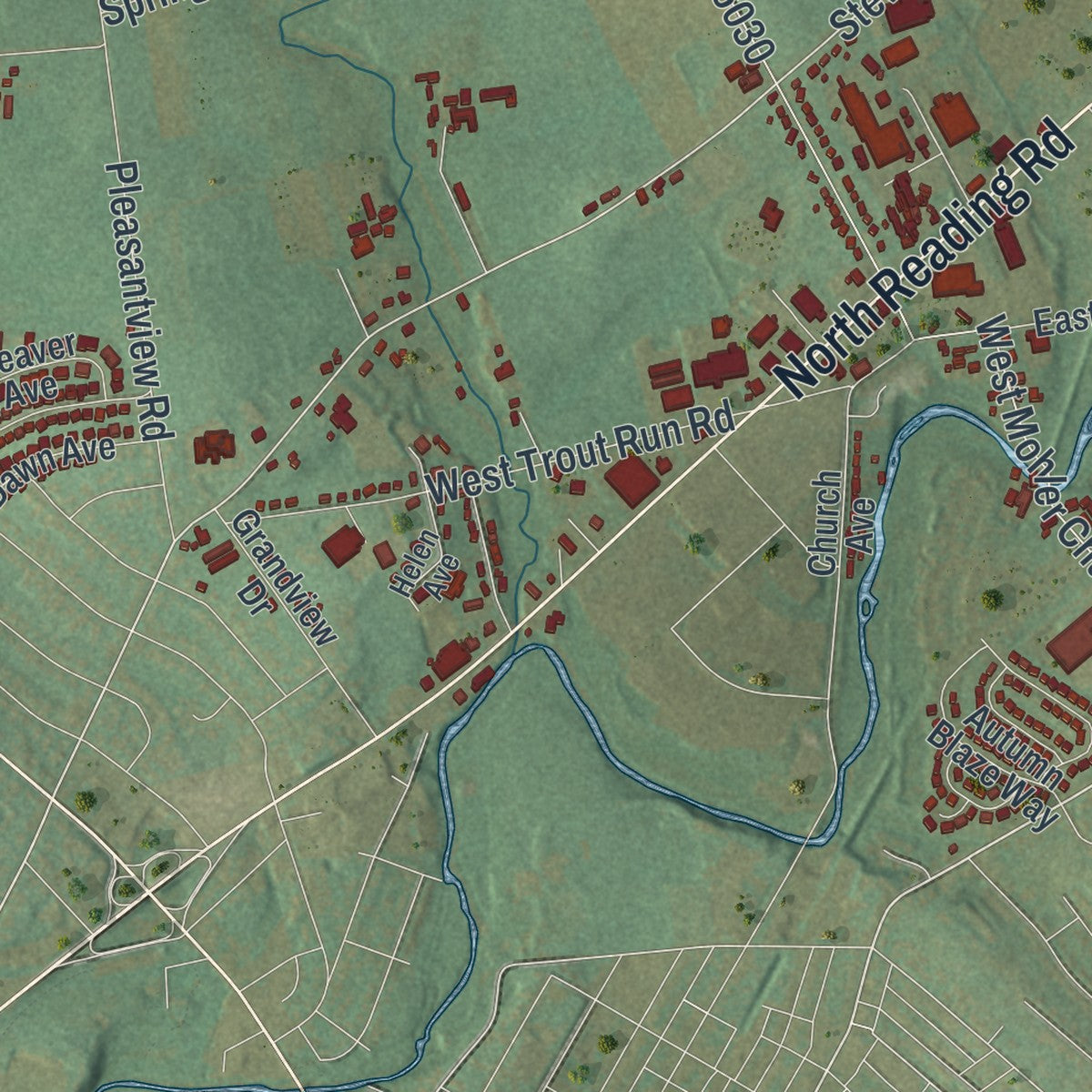 Second close-up of the map of Ephrata, Lancaster County, Pennsylvania print showing more streets and buildings