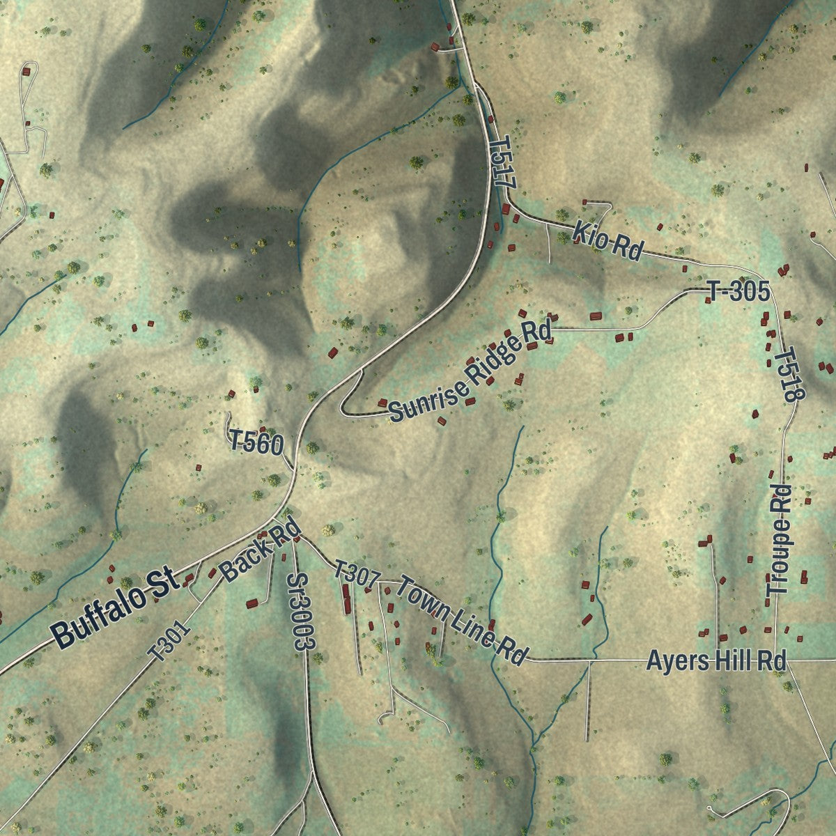 Close-up of the map of Eulalia, Pennsylvania print showing street and building detail