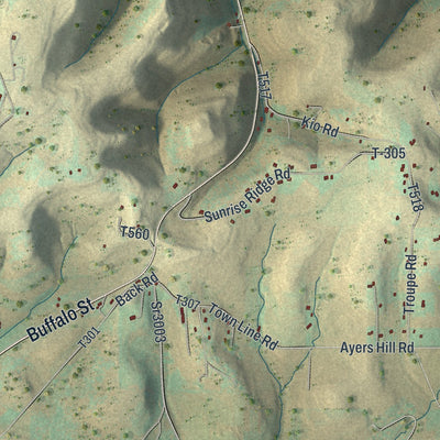 Close-up of the map of Eulalia, Pennsylvania print showing street and building detail